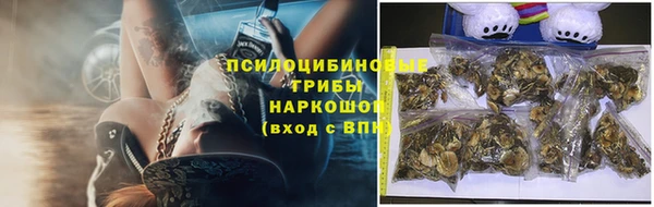 амф Липки