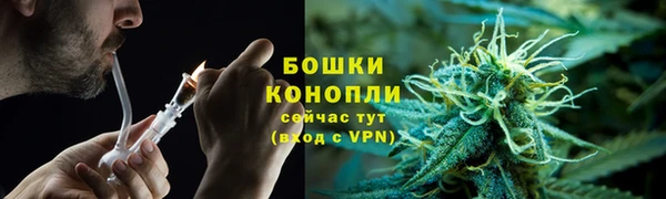 ГАЛЛЮЦИНОГЕННЫЕ ГРИБЫ Лиски