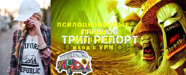 ГАЛЛЮЦИНОГЕННЫЕ ГРИБЫ Лиски