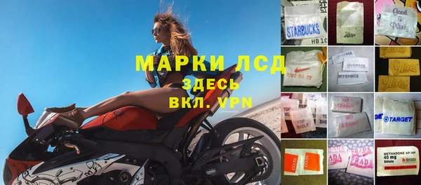 амф Липки